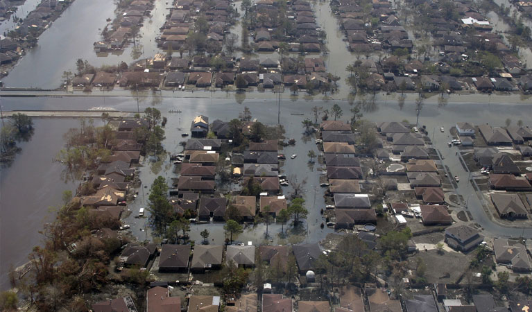 San Francisco Post Disaster Survey